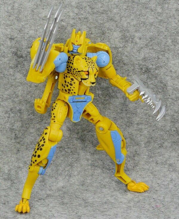 custom kingdom cheetor